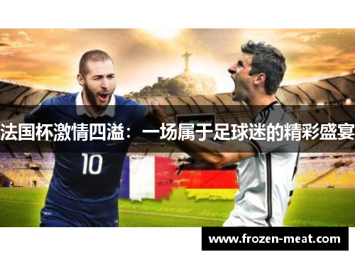 法国杯激情四溢：一场属于足球迷的精彩盛宴