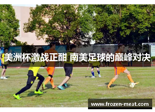 美洲杯激战正酣 南美足球的巅峰对决