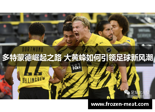 多特蒙德崛起之路 大黄蜂如何引领足球新风潮